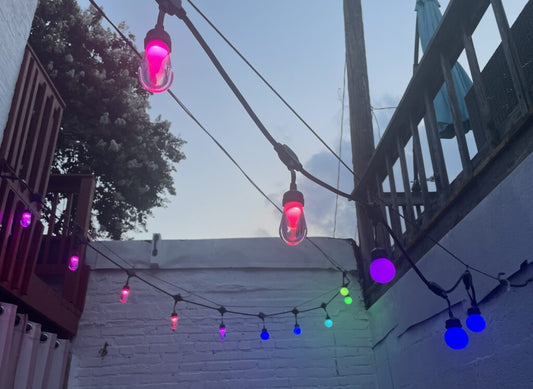RGBW+ S14 Festoon/Bistro Lights