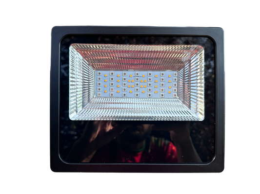 RGBW+2 Flood Lights
